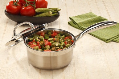 Premium Steel Induction 20cm X 9.5cm 3L Saucepan With Lid