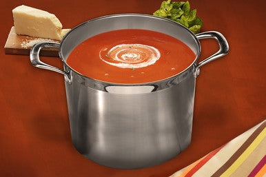 Premium Steel Induction 24cm X 17cm 7.5L Stockpot With Lid